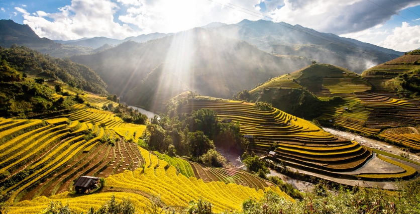 Tiếng hát con tàu