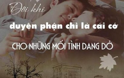 Ai đã một lần vì ai đó mà đau