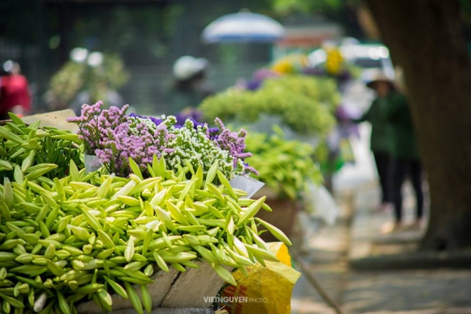 THÁNG TƯ: CÁI NẮNG GIAO MÙA VÀ NHỮNG KÝ ỨC XANH