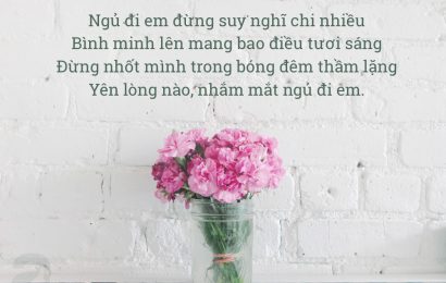 NGỦ ĐI EM…