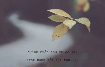 Mình cần…