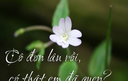 Đã lâu rồi…