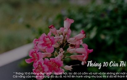 Tháng 10 Của Tôi