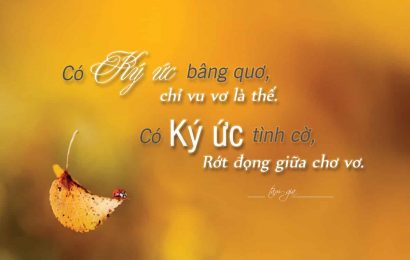 ĐỪNG TÌM EM NỮA ĐƯỢC KHÔNG ?