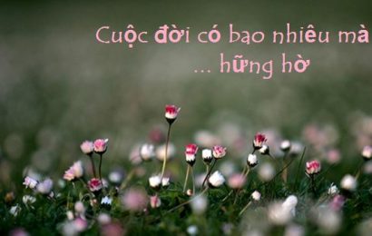 CUỘC ĐỜI ĐÓ CÓ BAO LÂU MÀ HỮNG HỜ