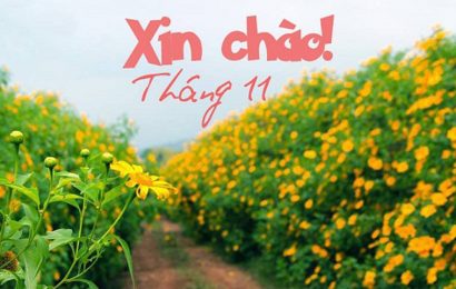 CHÀO THÁNG 11