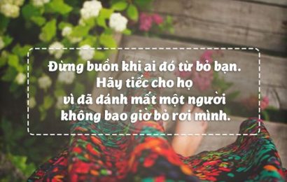 CÁM ƠN NGƯỜI ĐÃ BỎ RƠI TÔI