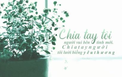 THÔI CHÚNG MÌNH ĐỪNG GẶP NHAU NỮA…