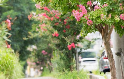 BÌNH YÊN LÀ NHƯ VẬY