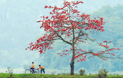 TÌNH KHÚC THÁNG BA