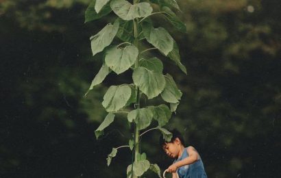 TRỞ VỀ