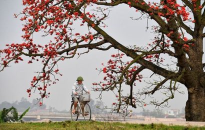 THÁNG BA NÀO, HỒN TÔI MÃI VẤN VƯƠNG