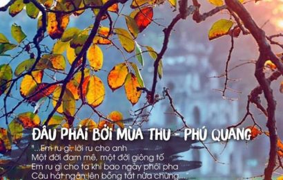 LÁ RƠI NHIỀU ĐÂU PHẢI BỞI MÙA THU