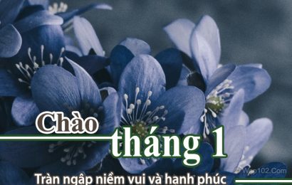 ẦU Ơ THÁNG MỘT