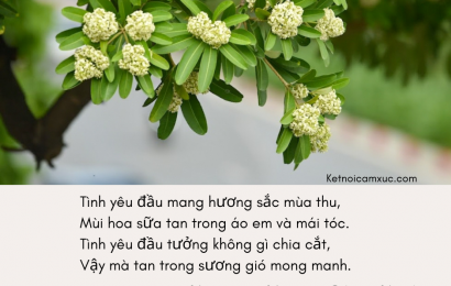 Nhà thơ Nguyễn Phan Hách và bài thơ “Hoa sữa”