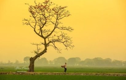 Tháng Ba Nhớ Bà