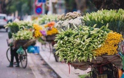 GỌI THÁNG TƯ VỀ