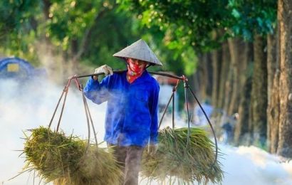 Xin lỗi thương yêu