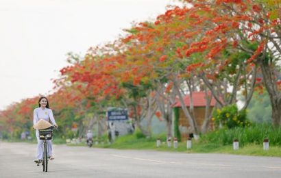 Thời hoa đỏ