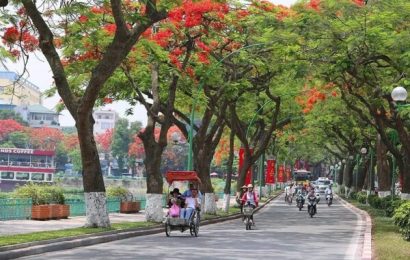 Tháng năm ấy xa rồi bạn có thấy buồn không?