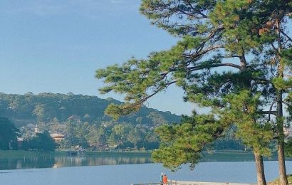 RỜI XA MÙA HẠ