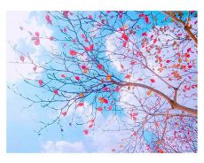 TA TRẢ MÌNH CHỈ CẦN MỘT CHỮ YÊN