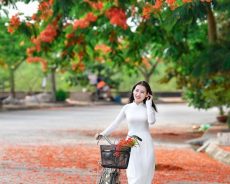 Bên ngưỡng cửa mùa hè