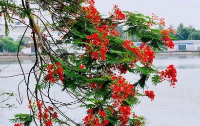 KÝ ỨC THÁNG NĂM