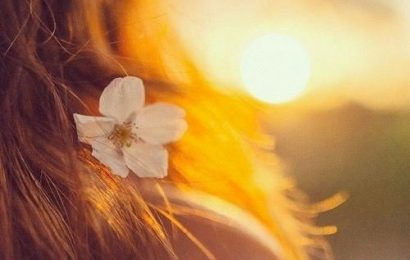 CHUYỆN TÌNH CÂY LÁ và GIÓ