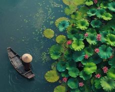 Vô ưu để lấy thanh bình, an yên!