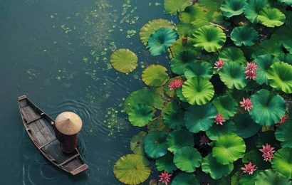 Vô ưu để lấy thanh bình, an yên! Vô ưu để lấy thanh bình, an yên!