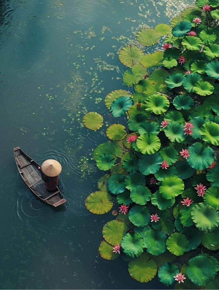 Vô ưu để lấy thanh bình, an yên!