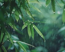 Bình yên bắt đầu từ khoảnh khắc bạn biết mình là ai?