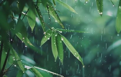 Bình yên bắt đầu từ khoảnh khắc bạn biết mình là ai?