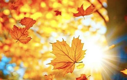 ANH CÓ VỀ MÙA THU ẤY CÙNG EM