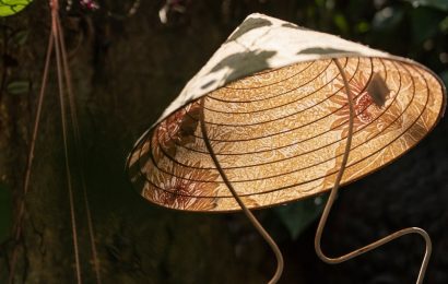 Có những ngày như thế…