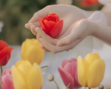 Là những lúc Là những lúc