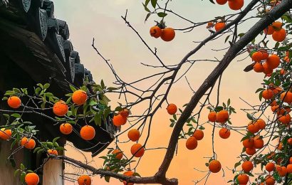 HÃY NÓI VỀ CUỘC ĐỜI…