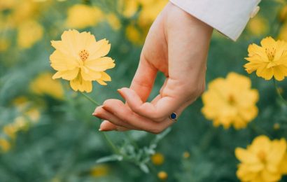 THÁNG MƯỜI HAI SẮP QUA RỒI MỘT NỬA