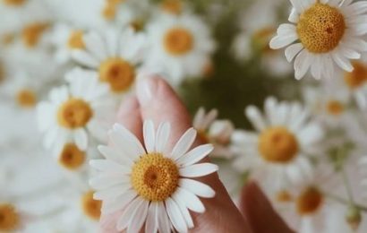 MÌNH GIÀ RỒI-ƯỚC ĐƠN GIẢN VẬY THÔI