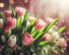 Tháng Ba rồi, sao em vẫn cô đơn ?