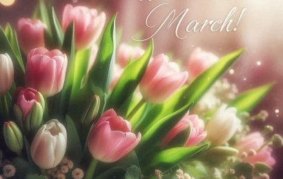 Tháng Ba rồi, sao em vẫn cô đơn ?