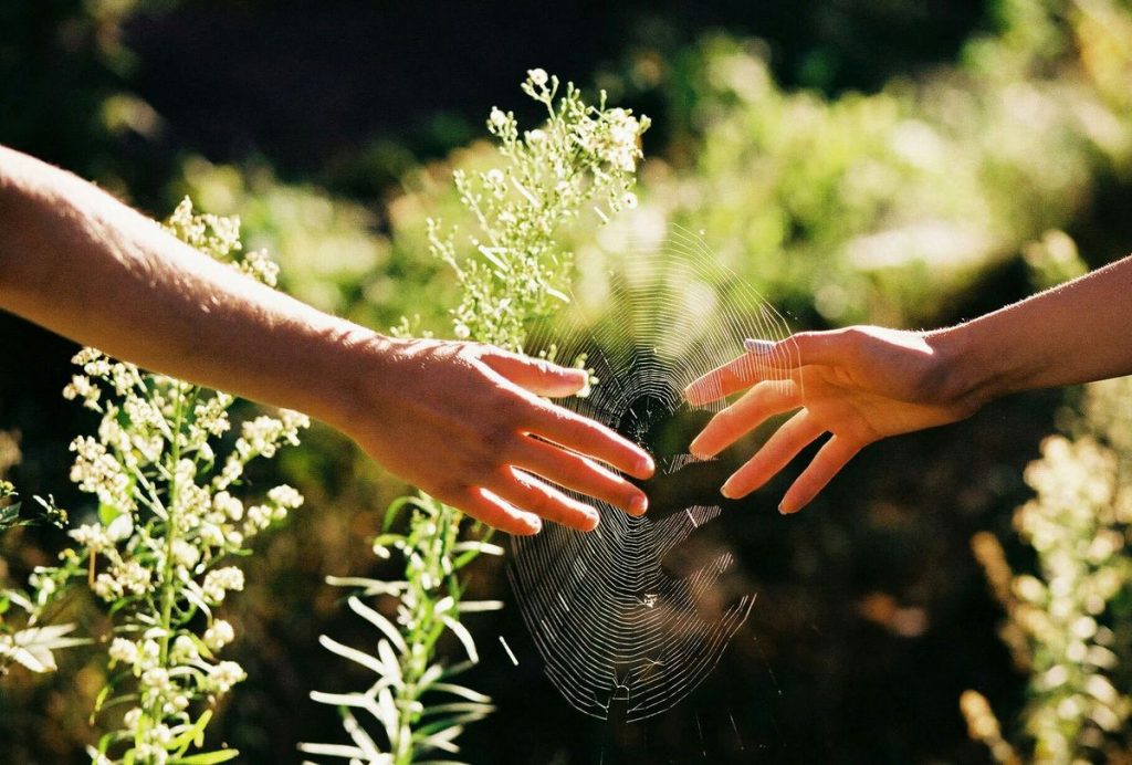 Gặp được nhau rồi cũng vội vã bước qua