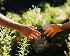 Gặp được nhau rồi cũng vội vã bước qua