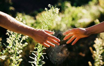 Gặp được nhau rồi cũng vội vã bước qua