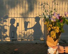 NÊN NẾU THƯƠNG RỒI HÃY GIỮ LẤY ĐƯỢC KHÔNG