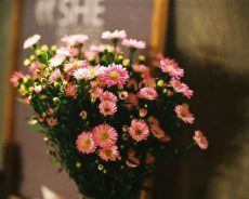 LÒNG NGƯỜI RỒI SẼ BÌNH YÊN