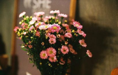 LÒNG NGƯỜI RỒI SẼ BÌNH YÊN