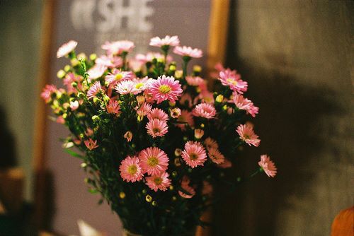 LÒNG NGƯỜI RỒI SẼ BÌNH YÊN